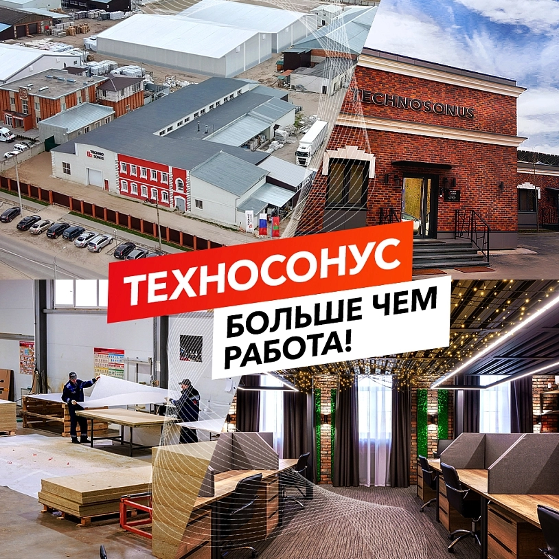 фото: ТехноСонус – больше чем работа!